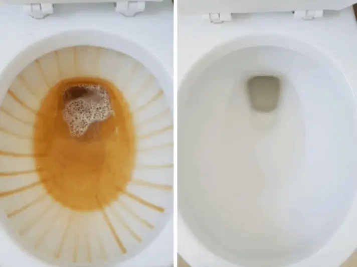 Fizz Clean customer review Sarah D.