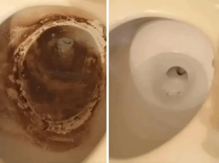 Fizz Clean customer review Carla M.